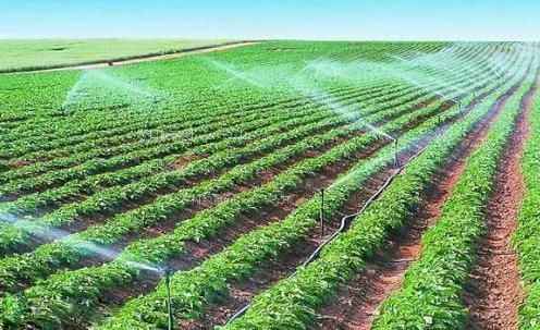 男人擦女人视频农田高 效节水灌溉